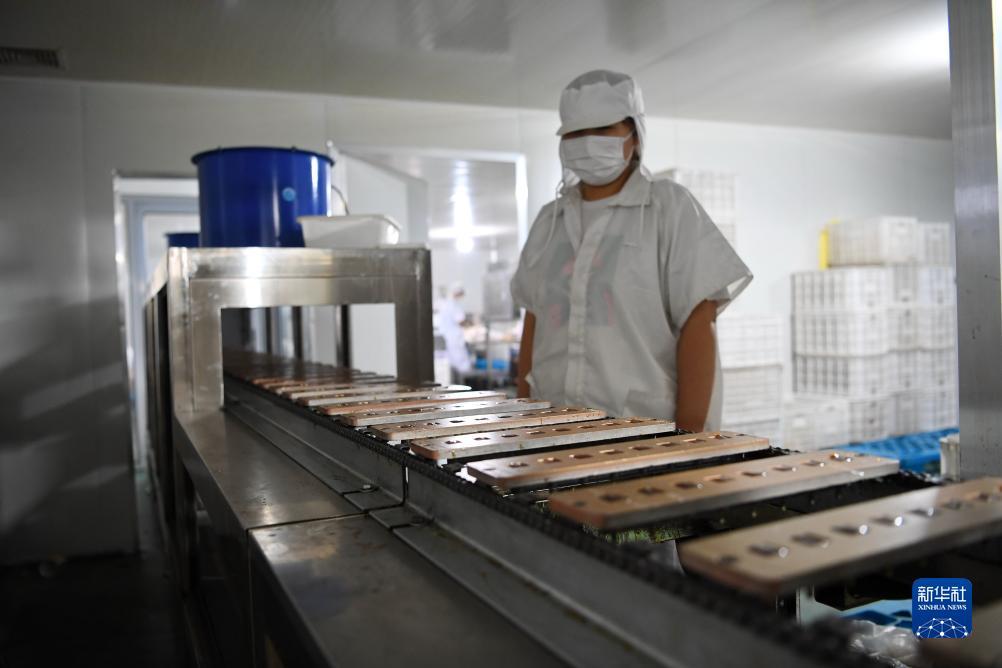 188金宝搏怎么打不开了
